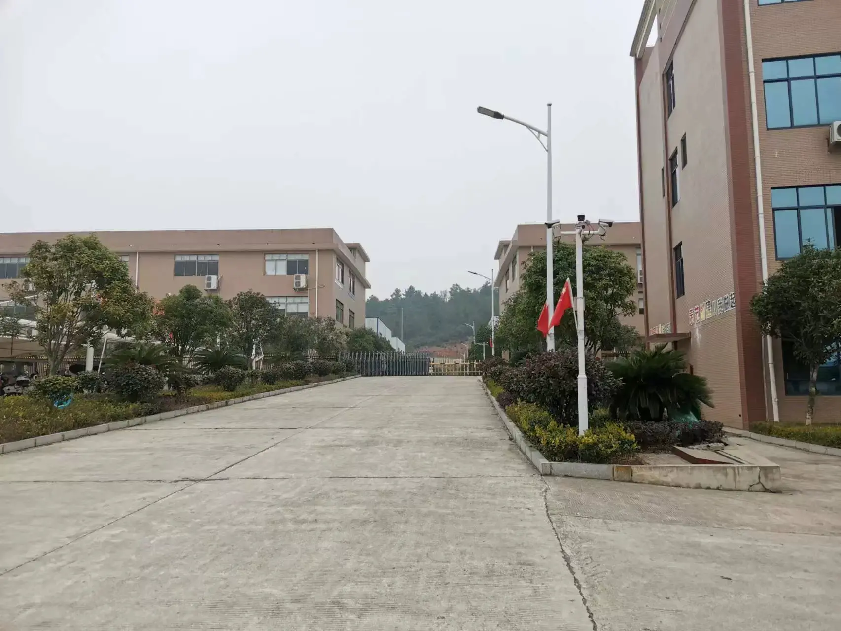 China Wigs Factory