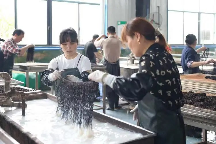 Dejun Hair wig factory production workshop
